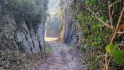 Baux_1_24_10-34