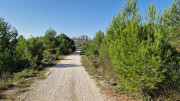 Baux_1_24_10-84