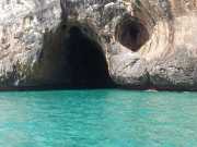 CALA_GONONE_12_06-10