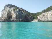 CALA_GONONE_12_06-11