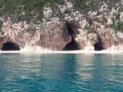 CALA_GONONE_12_06-12