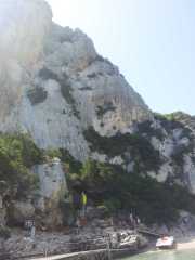 CALA_GONONE_12_06-13