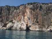 CALA_GONONE_12_06-14