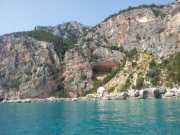 CALA_GONONE_12_06-17