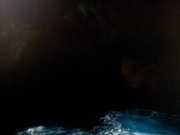 CALA_GONONE_12_06-19