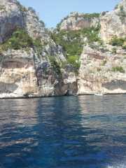 CALA_GONONE_12_06-20