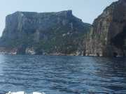 CALA_GONONE_12_06-21