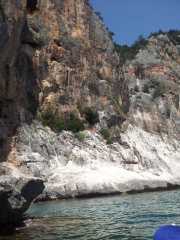 CALA_GONONE_12_06-22