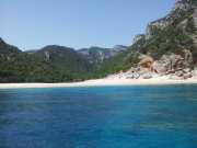 CALA_GONONE_12_06-23