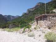 CALA_GONONE_12_06-24