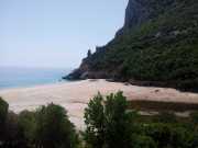 CALA_GONONE_12_06-25