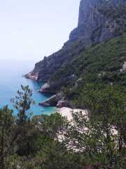 CALA_GONONE_12_06-26