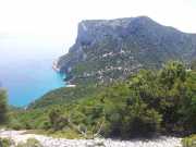 CALA_GONONE_12_06-27