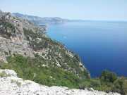 CALA_GONONE_12_06-29
