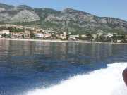 CALA_GONONE_12_06-3