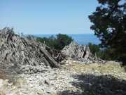 CALA_GONONE_12_06-31