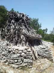 CALA_GONONE_12_06-32