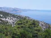 CALA_GONONE_12_06-33