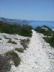 CALA_GONONE_12_06-34