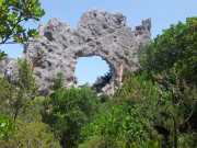 CALA_GONONE_12_06-35