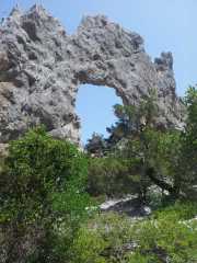 CALA_GONONE_12_06-36