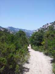 CALA_GONONE_12_06-37