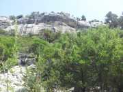 CALA_GONONE_12_06-38