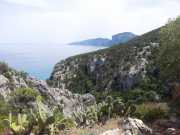 CALA_GONONE_12_06-39