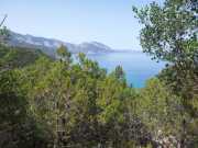 CALA_GONONE_12_06-40