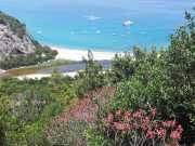 CALA_GONONE_12_06-41