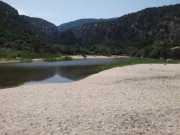 CALA_GONONE_12_06-42