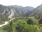 CALA_GONONE_12_06-44