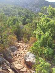 CALA_GONONE_12_06-47