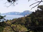 CALA_GONONE_12_06-49