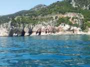 CALA_GONONE_12_06-5