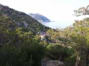 CALA_GONONE_12_06-51