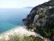 CALA_GONONE_12_06-52
