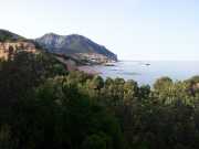 CALA_GONONE_12_06-54