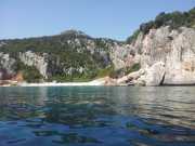 CALA_GONONE_12_06-6