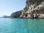 CALA_GONONE_12_06-9