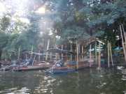 DSCN0001