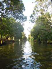 DSCN0003