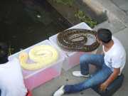 DSCN0025