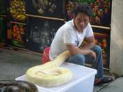 DSCN0026