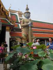 DSCN0029