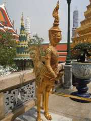 DSCN0049
