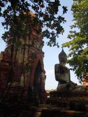 DSCN0081