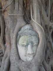 DSCN0083