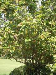 DSCN0106