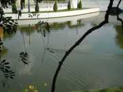 DSCN0107